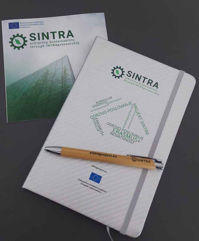 Erasmus+ Projekt SINTRA - Održivost kroz INTRApoduzetništvo - Agencija VEGORA